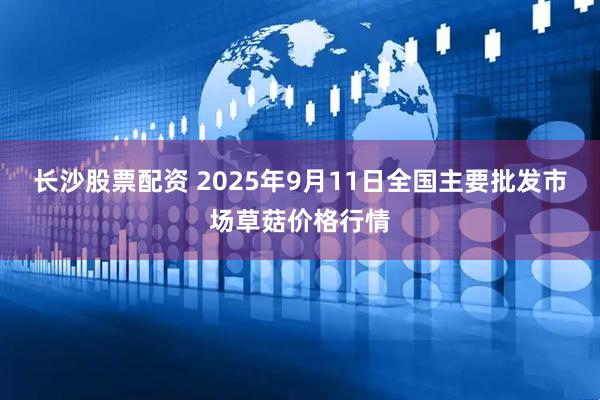长沙股票配资 2025年9月11日全国主要批发市场草菇价格行情