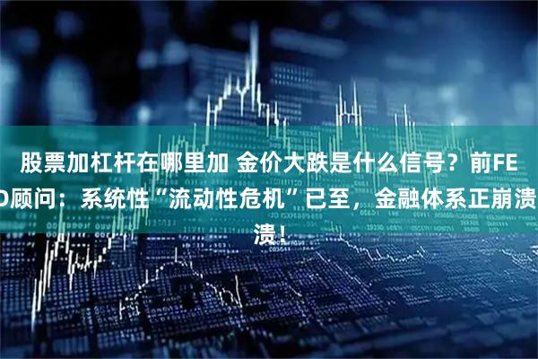 股票加杠杆在哪里加 金价大跌是什么信号?前FED顾问:系统性“流动性危机”已至,金融体系正崩溃!